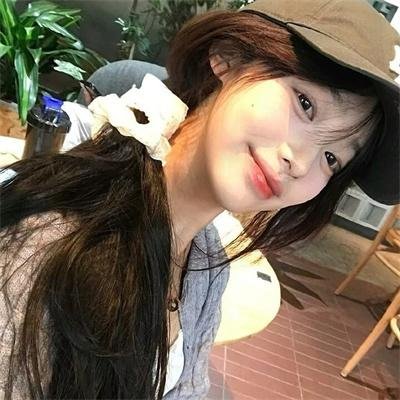 企鹅:极地追踪